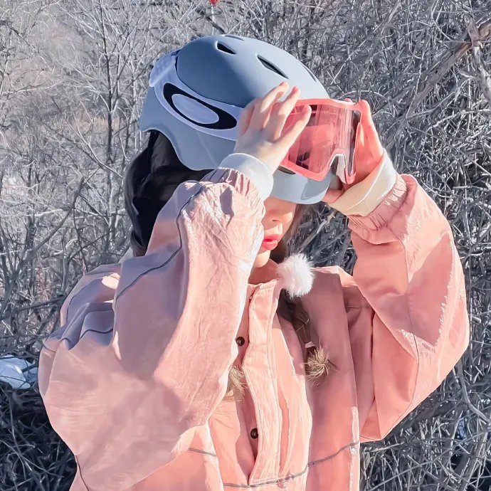 挎斗摩托车里的狗